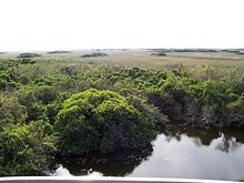 Evergladesi rahvuspark