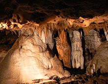 Koopad Florida Caverns State Parkis