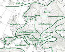 Floral regions in Europe according to Wolfgang Frey and Rainer Lösch