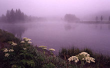 Steam mist in Yellowstone National Park
