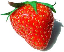 Una fruta de fresa: las "semillas" proceden cada una de un pistilo de la flor.