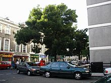Jesen v Londonu