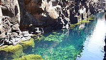 Natação de Água Doce em Puerto Ayora, Galápagos na Ilha de Santa Cruz.