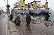 Puolan GROM Irakissa, 2003  