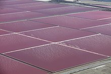 Odpařovací rybníky v Camargue (jižní Francie): Pokud se veškerá voda ze slané vody odpaří, sůl zůstane.