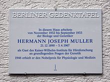 Pamětní deska H. J. Müllera v Berlíně-Buch.