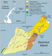 Mosasaur fossils were found on Seymour Island in Antarctica, which was once surrounded by cool temperate water.
