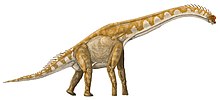 Giraffatitan