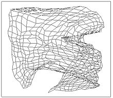 A cohon map in learning