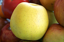 Una mela dorata e deliziosa.