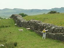 Section 49: Birdoswald; spraying of the wall with weed chemicals