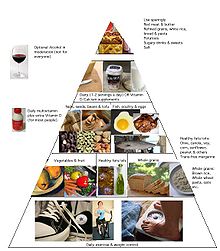 Pyramide für gesunde Ernährung nach Harvard School of Public Health