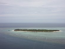 Heron Island, koralinė įlanka pietinėje Didžiojo barjerinio rifo dalyje.