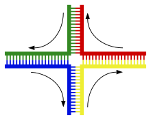 Schematic representation of a Holliday structure