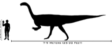 Plateosaurus
