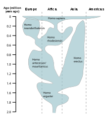 Diagrama, kurioje pavaizduoti skirtingi homo genties atstovai, suskirstyti pagal tai, kur ir kada jie gyveno.