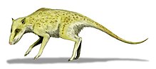 Rekonstrukcja Indohyus