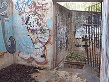 Punkri sees