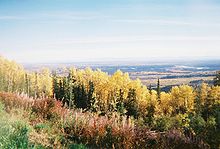 Syksy Alaskan sisäosissa.