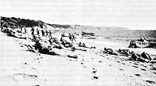 Invasion training on the English coast - landing maneuvers
