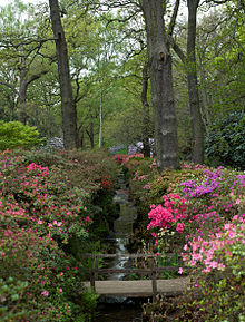 Isabella Plantasyonu, Richmond Parkı