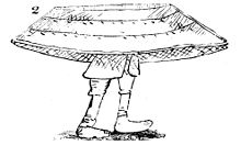 Linné's diary of the Lapland journey contains numerous drawings. Here he has sketched a Laplander carrying his boat.