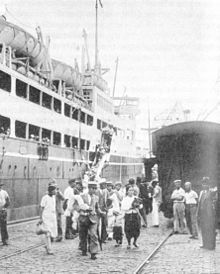 Vnuci těchto japonsko-brazilských přistěhovalců (Nipo-brasileiros) se nazývají Sansei.