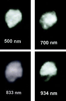 Juni, gesehen mit dem 100-Zoll-Hooker-Teleskop am Mt. Wilson-Observatorium in vier Wellenlängenbereichen