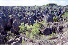 Karst landscape in the interior of Naurus, a relic of phosphate mining