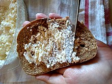 Kaymak from Montenegro