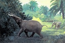 G. angustidens pagal Charles R. Knight
