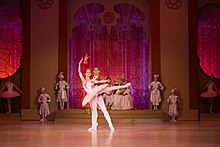 Pas de deux (Act 2) with Jelena Lečić and Andrej Kolčeriju, Serbian National Theatre, Novi Sad, 2011-2012