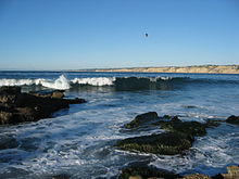 View from La Jolla Cove