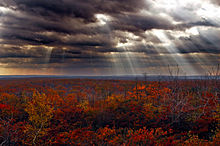 Pinchot State Forest