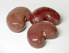 Raw kidneys of lamb