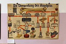 Soap on the display board "The utilization of the bone".