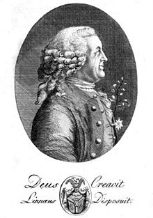 Anonymous portrait with the inscription "Deus creavit, Linnaeus disposuit" ("God created, Linné ordered") from Dietrich Heinrich Stöver's Life of the Knight Carl von Linné from 1792