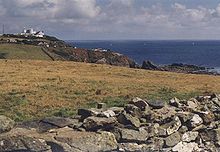 Lizard Point