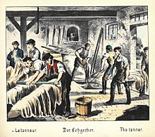 Koželuh, ilustrace z roku 1880, z knihy popisující různá povolání