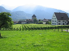 Brandis Castle