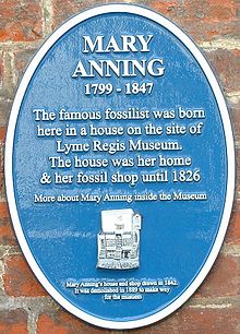 Bu mavi plaket, Mary Anning'in doğduğu ve şu anda Lyme Regis Müzesi'nin bulunduğu yerde ilk fosil dükkanını açtığı evin olduğu düşünülen yere monte edilmiştir.