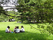 Picknick am Meiji-Schrein in Tokio