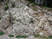 Misisipijski marmor v kanjonu Big Cottonwood, Wasatch Mountains, Utah
