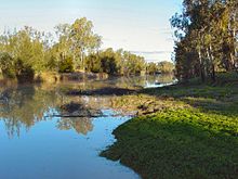 Maranoa River  