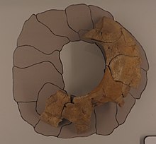 Mosasaurus scleral ring