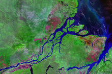 Satelitska slika ustja reke Amazonke