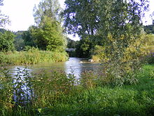 Starzel mouth in Bieringen