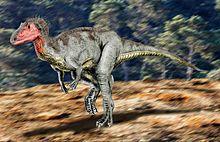 Drawing of Neovenator