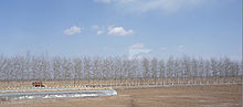 The North China Plain in Winter