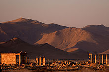 Palmyra seen from the north (2008)